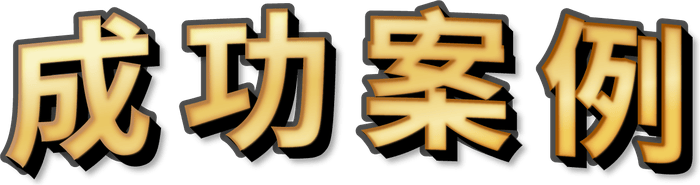 成功案例